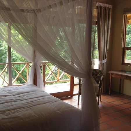 Rio Magnolia Nature Lodge Tinamaste Dış mekan fotoğraf
