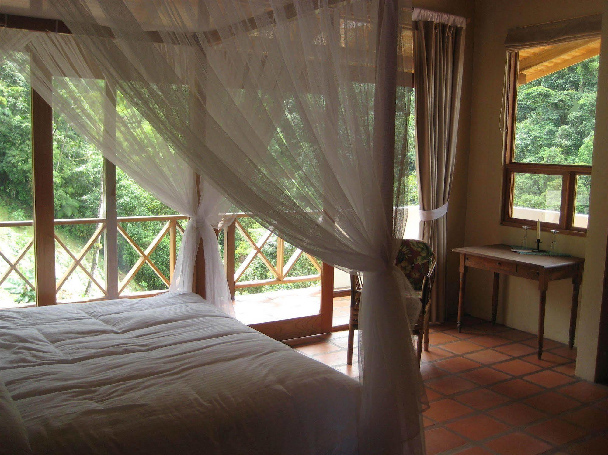 Rio Magnolia Nature Lodge Tinamaste Dış mekan fotoğraf